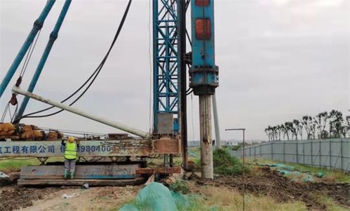 玉湖冷鏈深度融入四川國際供應(yīng)鏈建設(shè)，推動施工工程高效落地