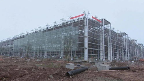 龍興園區四大重點項目加速推進，吉利、三一重工引領建設新高潮